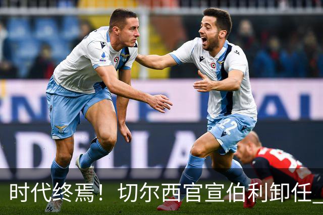 时代终焉！切尔西官宣伯利卸任 清湖资本已完全控制